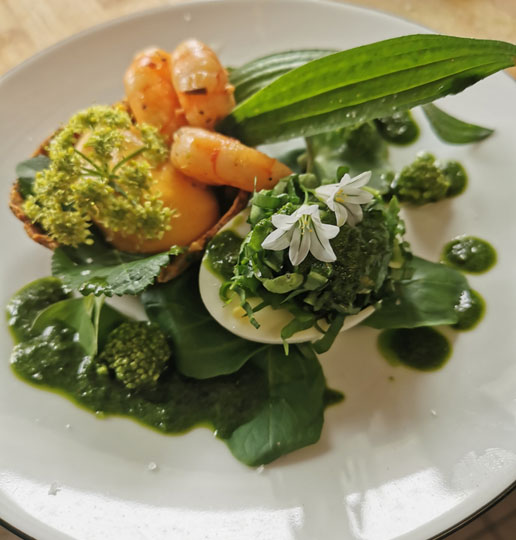 ATELIERS CUISINE DES HERBES SAUVAGES